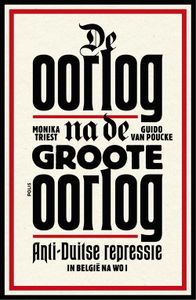 De oorlog na de Groote Oorlog - - ebook