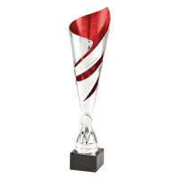 Sportprijzen Leiden Trofee 100.11