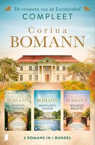 De vrouwen van de Leeuwenhof - Corina Bomann - ebook