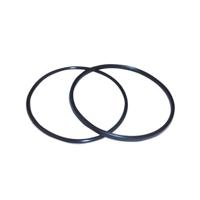 Sealife SL96303 O-Ring Set voor Sea Dragon Flash