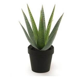 Emerald Kunstplant Aloe Vera - groen - in zwarte pot - 23 cm - Kunstplanten