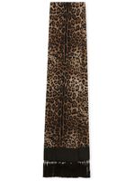 Dolce & Gabbana fringed leopard-print silk scarf - Marron - thumbnail