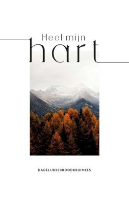 Heel mijn hart (Hardback)