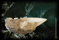 Harry Potter Replica Crystal Goblet *
