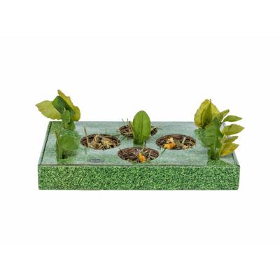 Snackdienblad Trixie Groen Karton 28 x 3,8 x 18 cm