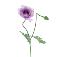 Poppy spray Casper lavender 73 cm kunstbloem Erutan Avon - Erutan avon