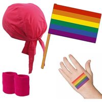 Gay Pride verkleed set roze/regenboog voor volwassenen   -