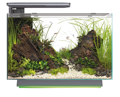 Superfish Quadro 70 Pro Multi Colour zwart