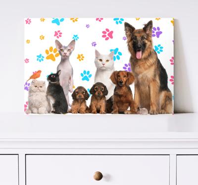 Andere dieren schilderij op canvas Honden en katten