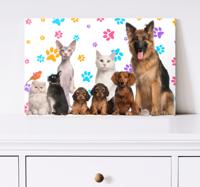 Andere dieren schilderij op canvas Honden en katten
