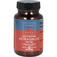 Astragalus 500 mg - thumbnail