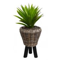 Planten/bloemen mand op pootjes - rotan gevlochten - D33 x H45 cm - plantenpot - bloempot