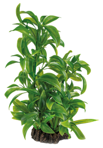 Superfish Art Plant 25cm Dracaena - Natuurgetrouwe Kunstplant voor Aquarium Decor
