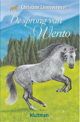 De sprong van Wento (Hardback)