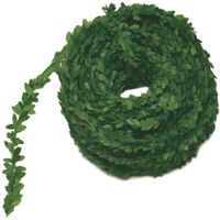 30 meter lange buxus slinger