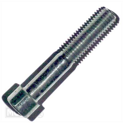 Inbusbout M10 - 60 10 stuks