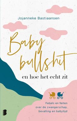 Babybullshit en hoe het echt zit (Paperback)