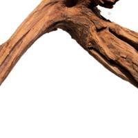 Mangrove aged wood large - Aquadistri