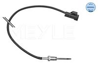 Sensor, uitlaatgastemperatuur 7148000038