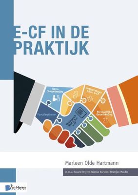 e-CF in de praktijk - Marleen Olde Hartmann - eBook (9789401805704)
