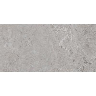 Vloertegel Pamesa Erding Ash 60x120 cm Gerectificeerd Mat Grijs Pamesa