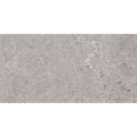 Vloertegel Pamesa Erding Ash 60x120 cm Gerectificeerd Mat Grijs Pamesa