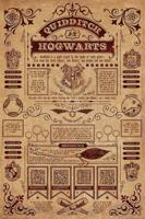 Poster Harry Potter - Quidditch At Hogwarts 61x91,5cm