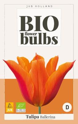 Tulipa Ballerina - bio - Jub