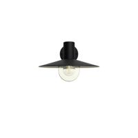 Philips myGarden Skua wandlamp 42W E27 zonder lamp - thumbnail