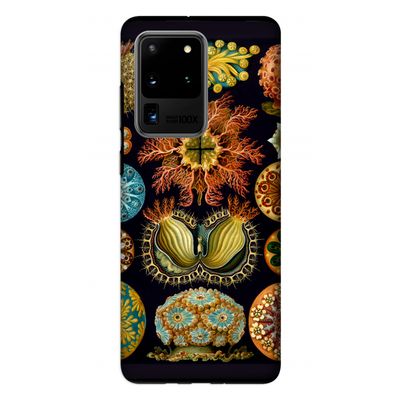 Haeckel Ascidiae: Samsung Galaxy S20 Ultra Tough Case