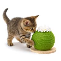 Nobleza Katten krabbol - Cactus - Groen - 23 cm Nobleza Katten krabbol - Cactus - Groen - 23 cm