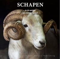 Schapen in de weiden van de lage landen (Hardback)