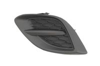 Ventilatiegrille, bumper 6502073421924P