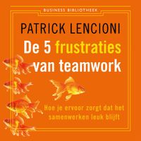 De 5 frustraties van teamwork
