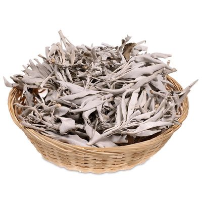 Wierook Witte Salie (Salvia Apiana - 9000 gram)