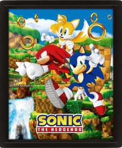 Sonic The Hedgehog 3D Lenticular Poster Catching Rings 26 x 20 cm