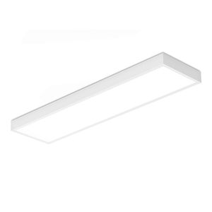 LED Paneel met Philips driver - 30x120 cm - 36 Watt - 4320lm (120lm/W) - 4000K neutraal wit - Incl. opbouwframe - Flikkervrij - UGR19 - 5 jaar garan