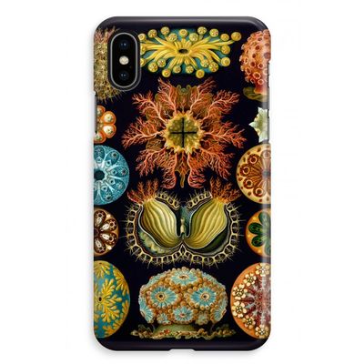Haeckel Ascidiae: iPhone XS Max Volledig Geprint Hoesje