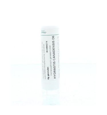 Hydrastis canadensis D6