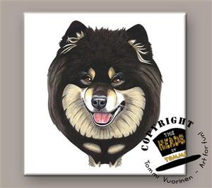 Finse Lappenhond tegeltje