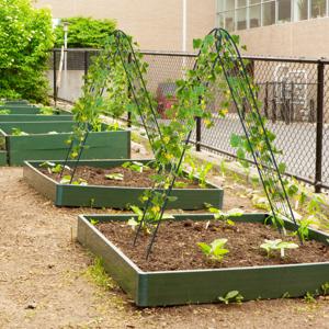 220x50cm Metalen Tuinlatwerk Roestvrije Plantensteun voor Klimplanten Decoratief Buitenlatwerk in 2 Verpakking