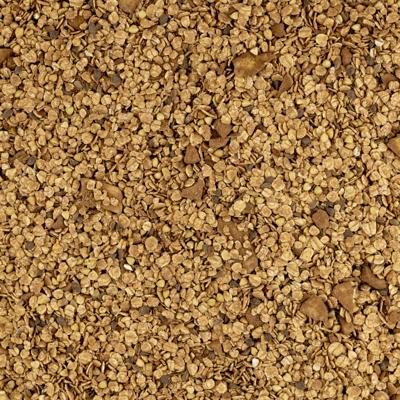 instant havermout choco & banaan (bio) 5 kg zak