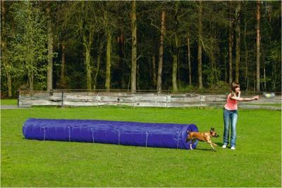 BZ AGILITY TUNNEL LARGE 525X60X60