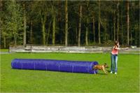 BZ AGILITY TUNNEL LARGE 525X60X60