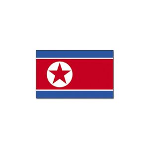 Gevelvlag/vlaggenmast vlag Noord Korea 90 x 150 cm   -