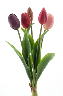 PSO Holland tulip bundle Sally purple/beauty combo 36 cm kunstbloem - Nova nature