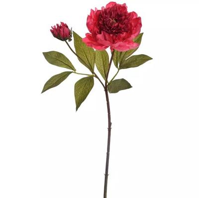 Peony spray 66 cm beauty - Hortus