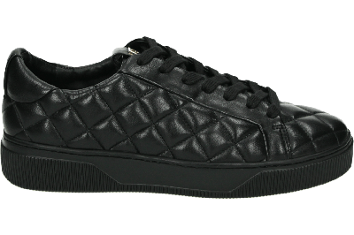 Hogl 103420 - alle