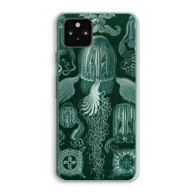 Haeckel Cubomedusae: Google Pixel 5a 5G Transparant Hoesje