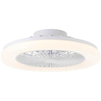 Brilliant PlafondventilatorSiano met lamp - wit - G80925/05